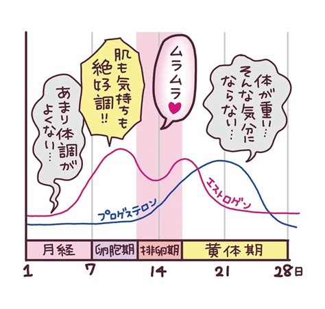 生理前になるとムラムラするって本当？性欲が高まる。